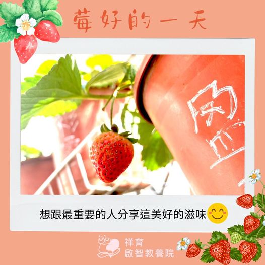 花朵盛開結草莓,開啟莓好的一天